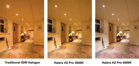 What Is Better Warm White or Cool White? - Downlights Direct Lighting ...