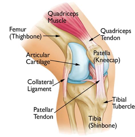 Why do I have knee pain? – Diversified Integrated Sports Clinic