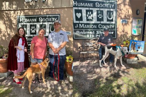 Humane Society of Marion County helps over 200 pets find new homes in October - Ocala-News.com