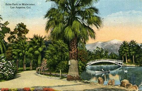 Echo Park Post card vintage | Echo park, California history, Los angeles