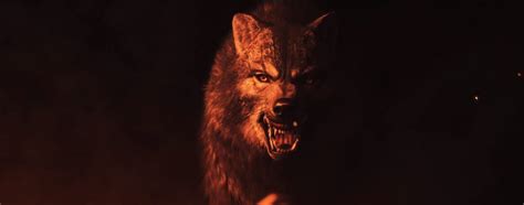 Werewolf: The Apocalypse Revealed - HRK Newsroom