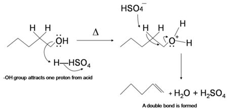 h2so4 mechanism | Reactions | Pinterest