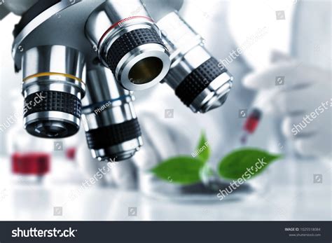 Microscope Petri Dish Stock Photo 1025518084 | Shutterstock