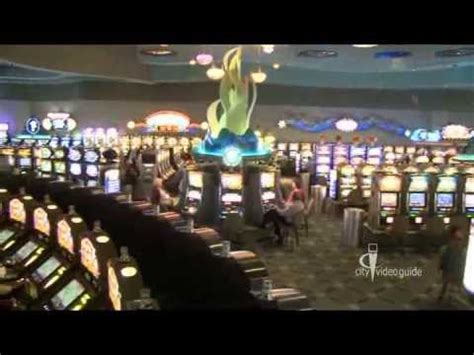 Experience the Gulfstream Park Racetrack & Casino in Miami, Florida - YouTube