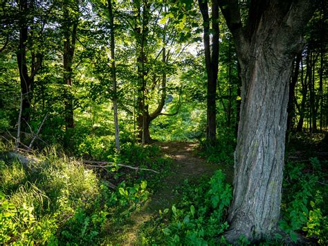 Trail Master Plan | Concord, NH - Official Website