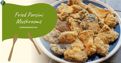 Porcini Mushroom Recipes: Top 5 Delicious and Easy Recipes