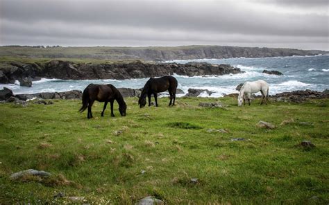 landscape, Nature, Beautiful, Area, Wild, Sky, Landscapes Wallpapers HD ...