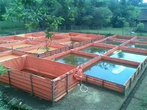 A group of small fish breeding ponds (tanks) in Indonesia | Fish ...