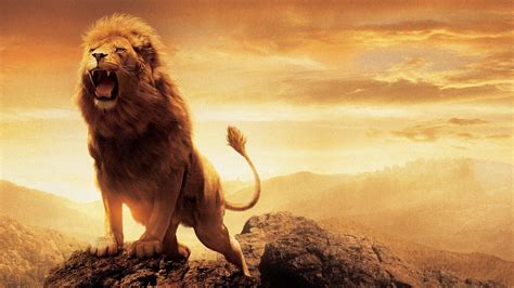 Lion Wallpaper 4K / Lion Wallpapers HD 4K for Android - APK Download / Hundreds of select ...