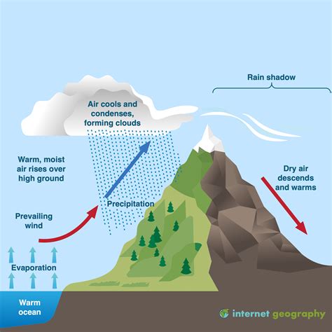 Identify the Steps in the Rain Shadow Process - AileenkruwShannon