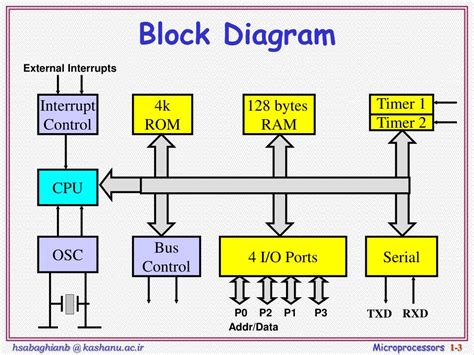 PPT - The 8051 Microcontroller PowerPoint Presentation, free download - ID:6783830