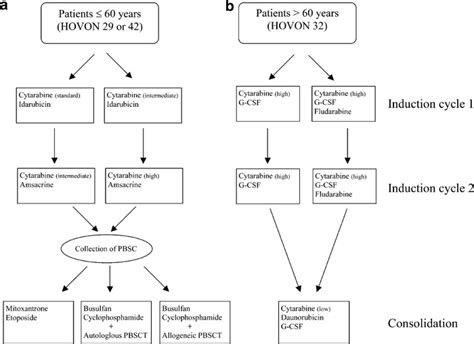Schematic outline of AML treatment protocols. (a) AML patients 60 years ...