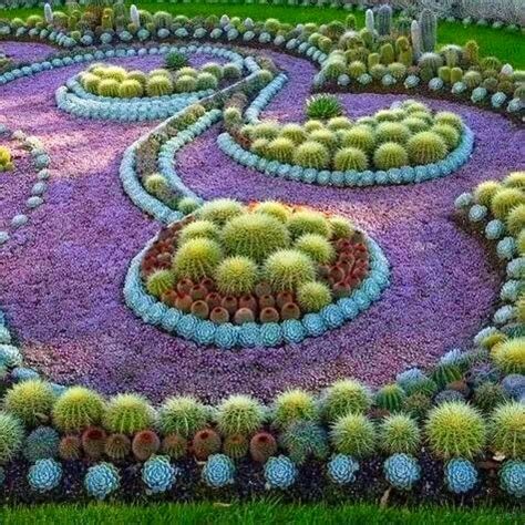 Beautiful Cactus Succulent Garden