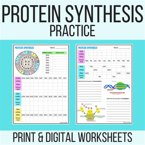 Protein Synthesis Worksheet With Answers