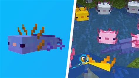 Minecraft: How to breed a blue Axolotl - GameRevolution