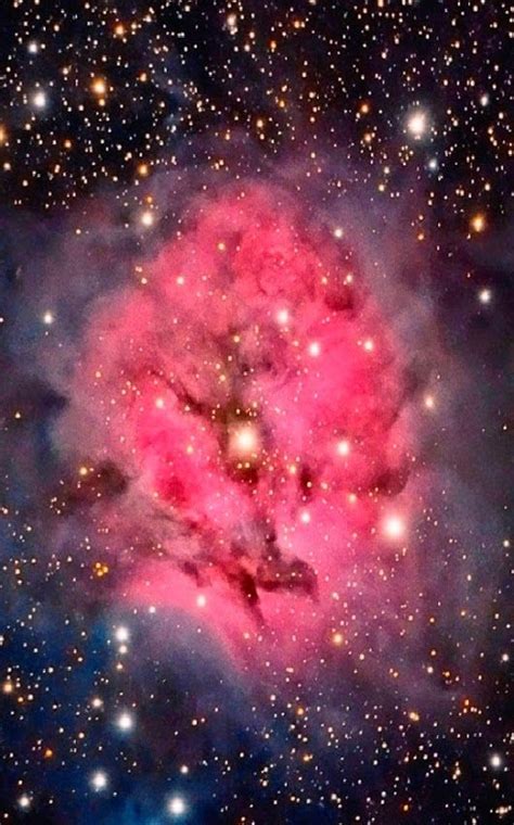 The Trifid Nebula was the subject of an investigation by astronomers using the Hubble Space ...