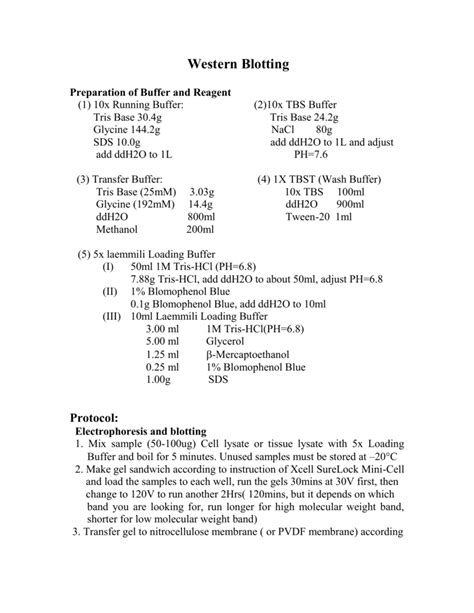 Western Blot Transfer Buffer Recipe | Deporecipe.co