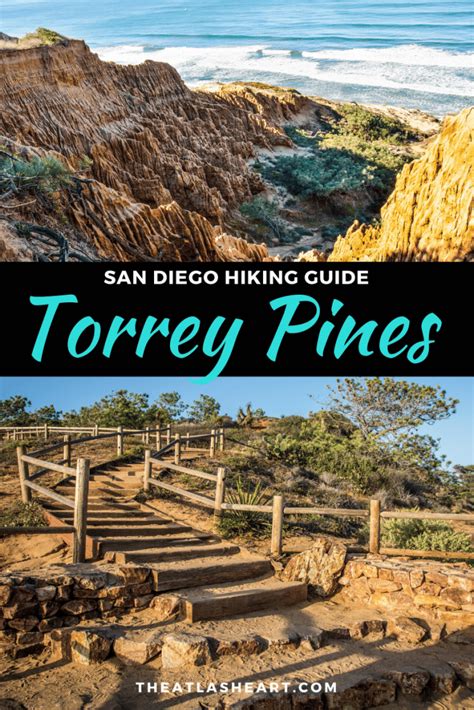 Torrey Pines Hiking Guide: Best Trails & What to Know Before You Go