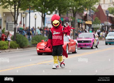 Frankenmuth, Michigan, USA - June 10, 2018 Man dress up as a cardenal ...