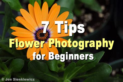 7 Flower Photography Tips For Beginners | Shutterbug