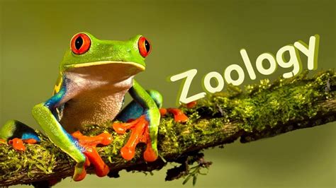 zoology - Important Questions Answers, Question Paper, Lecture Notes, Study Material