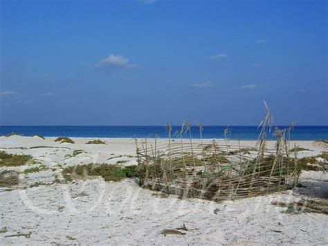 Beach in south part of Socotra