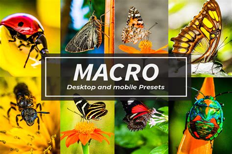 Macro HDR Lightroom Presets Graphic by NeoReborn · Creative Fabrica