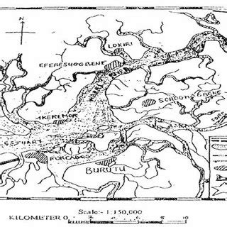 Map of Warri River and environ showing the site where the Fish were ...