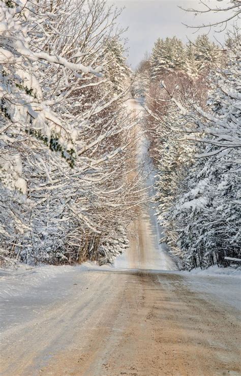 Winter landscape, Quebec stock image. Image of cold, blue - 7731873