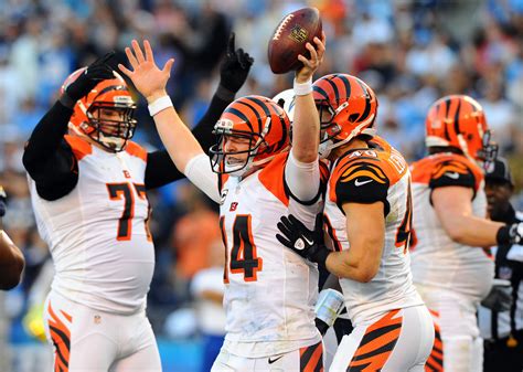 NFL free agency: 25 photos of new Panthers QB Andy Dalton