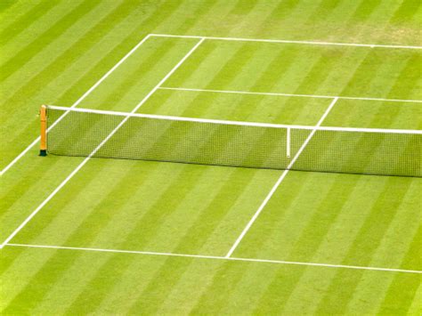 Grass Tennis Court Stock Photo - Download Image Now - iStock