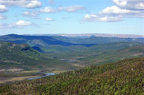 Newfoundland Landscape Newfoundland, Vacation, Mountains, Landscape ...