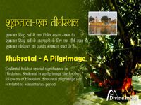 List of Krishna Temples in India