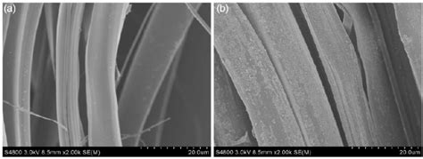 Scanning electron microscope images of silk before and after "... | Download Scientific Diagram