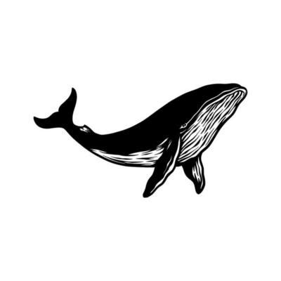 Whale Silhouette Vector Art, Icons, and Graphics for Free Download