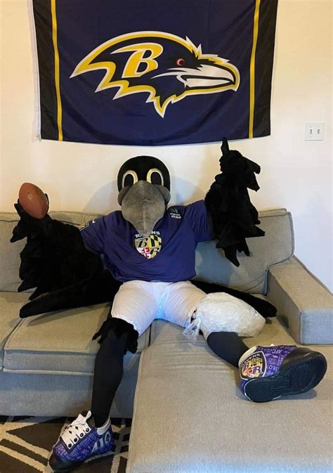 Ravens’ mascot Poe recovering after injury during halftime event Saturday