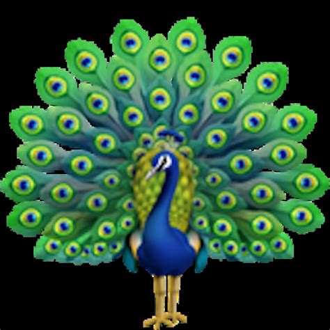 🦚 Peacock Emoji Copy Paste 🦚