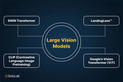 A Brief Guide to Large Vision Models