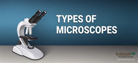 Types of Microscopes - Definition, Working Principle, Diagrams