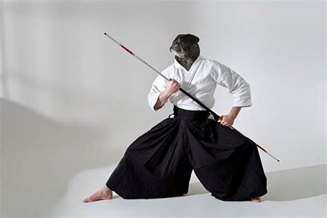 20+ Aikido Dog Stock Photos, Pictures & Royalty-Free Images - iStock