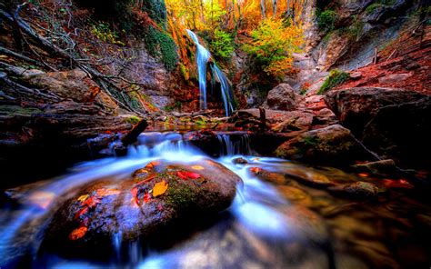 a small waterfall in the middle of a forest filled with trees and rocks ...