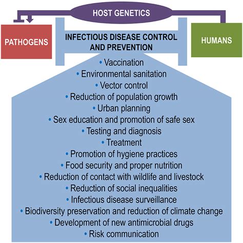 Which of the Following Activities Exemplifies Disease Prevention - ChloeminDunn