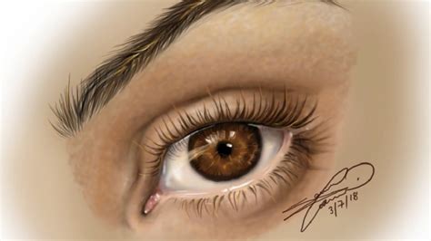 Realistic Brown Eye In Color - Digital Speed Drawing - YouTube