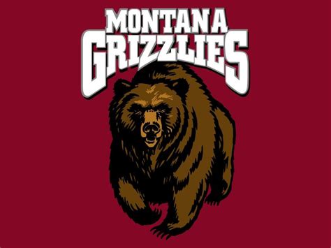 Montana Grizzlies | Montana, Grizzly, Montana griz