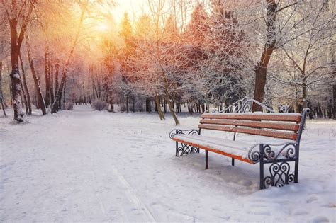 Where Does it Snow in December? – Everything You Need To Know