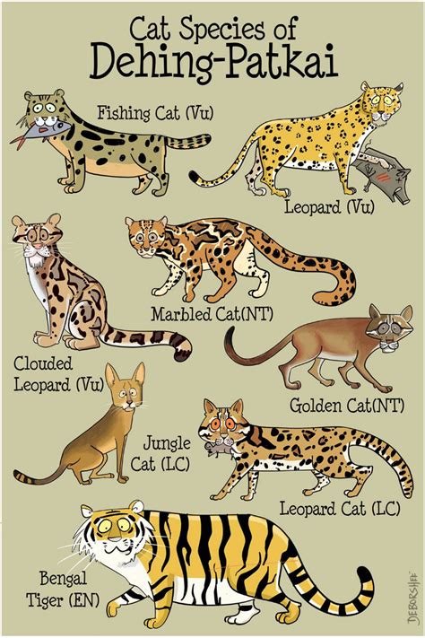 List of All Big Cats