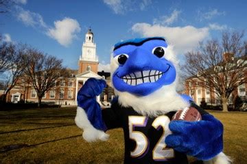 Johns Hopkins Blue Jay does the Ray Lewis dance | Hub