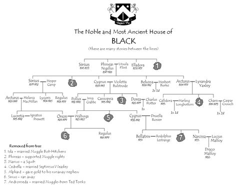 Image - Black family tree.jpg | Harry Potter Wiki | FANDOM powered by Wikia