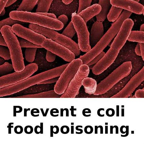 What is e coli food poisoning?