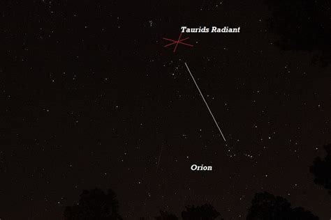 The Taurids Meteor Shower of Mid-November - Owlcation